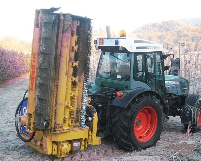 MULCHING MOVER SEPPI M OFFSETTING MULCHERS - Image 2